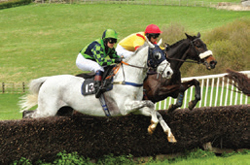 Dingley Races