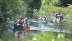 Paddle and discover local wildlife